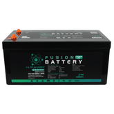 Super Start V - LFP - 24 - 200